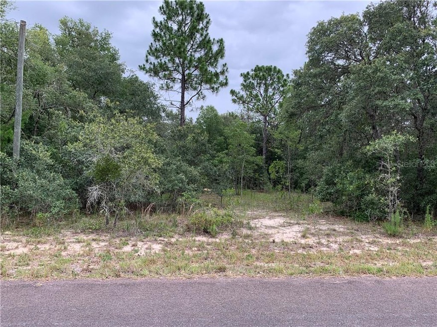 1627/1663 E Naperville Ln, Hernando, FL 34442 - photo 1