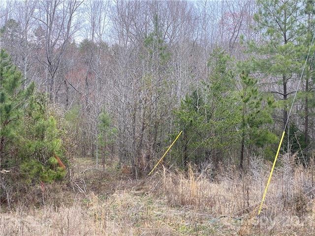 00 Pinto Ln, Gastonia, NC 28052 - photo 1