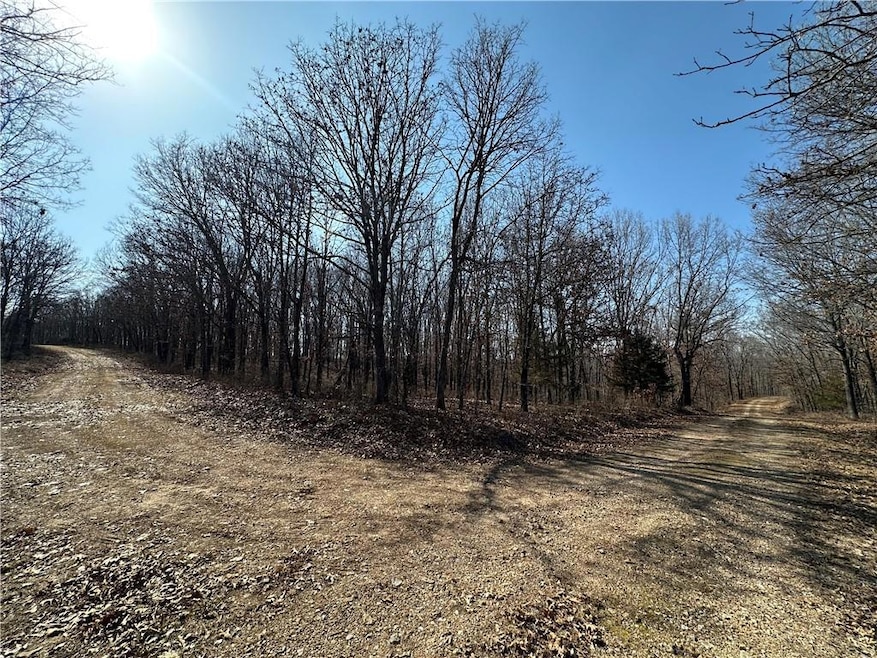 LOTS 3155,3156,3101 Rolfs Place, Union Township, MO 65326 - photo 1