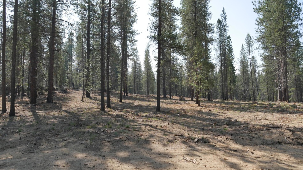Front of homesite