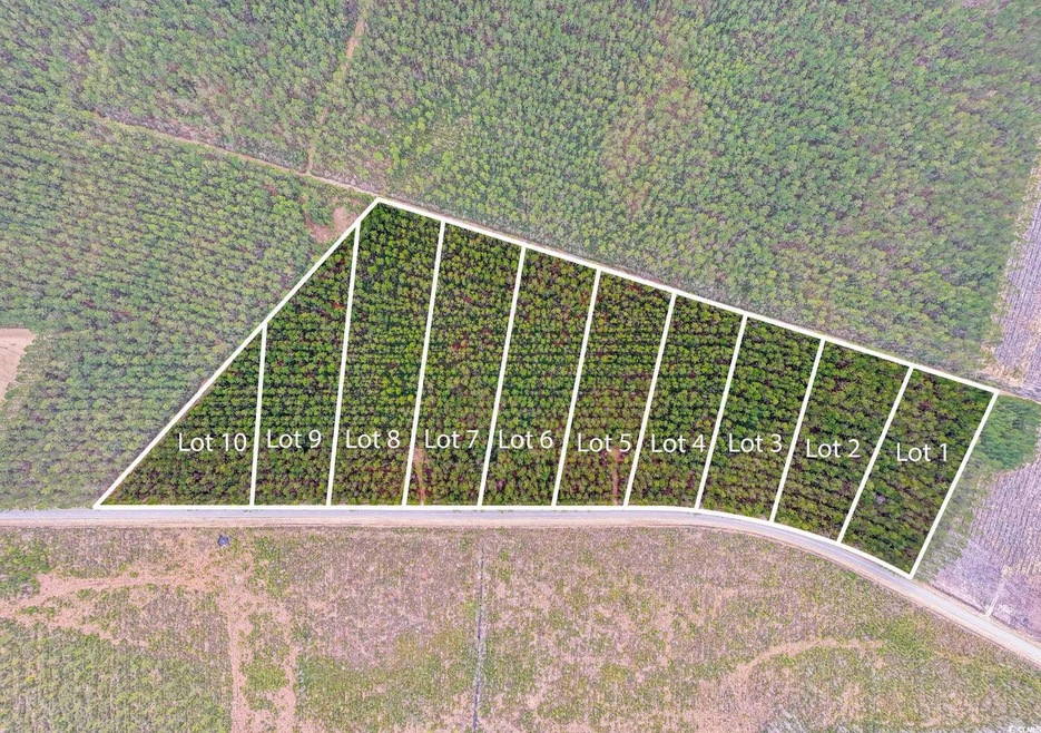 TBD Joyner Swamp Rd unit Lot 1A, Galivants Fry, SC 29544 - photo 1