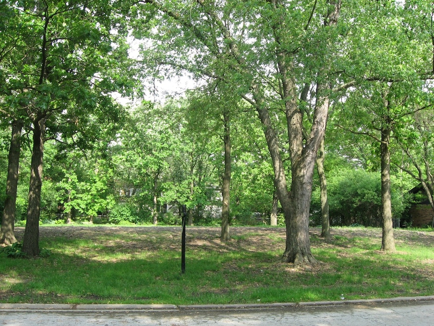 25 Danube Way, Olympia Fields, IL 60461 - photo 1