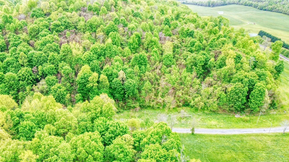 Property View 1