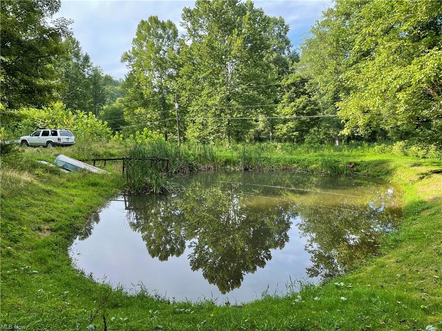pond