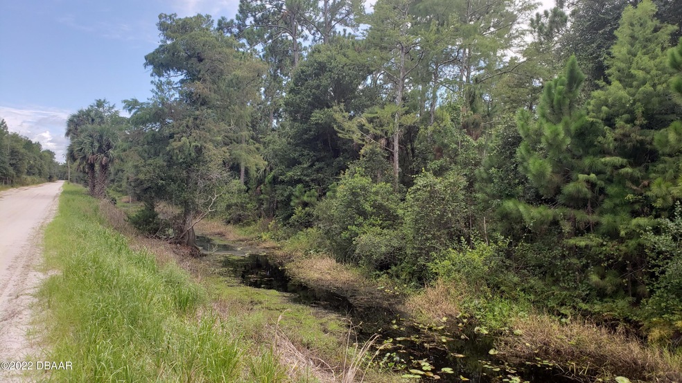 Hunting Camp Road