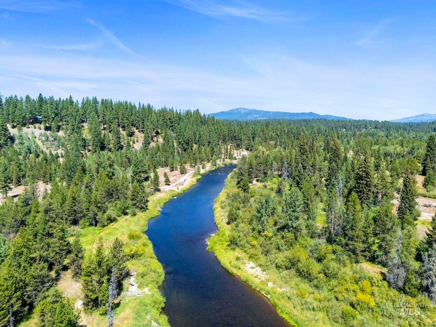 Drone / aerial view of a water and mountain view and a forest