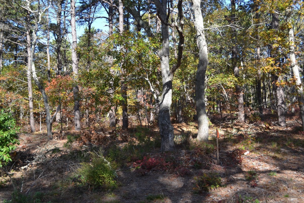 0 Columbian Ave unit 31292, Oak Bluffs, MA 02568 - photo 1