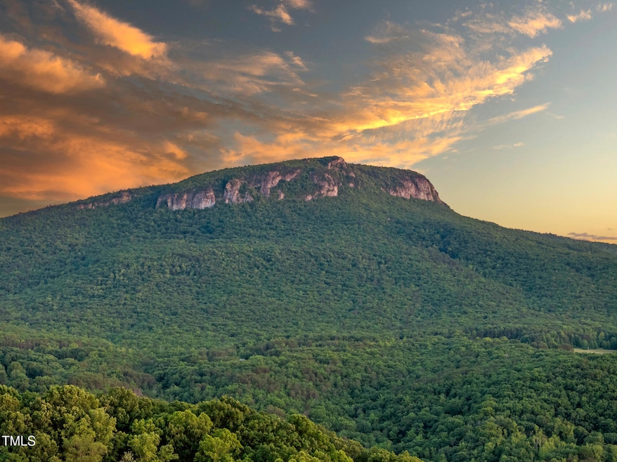 0 Cherry St unit 10101409, Danbury, NC 27016 - photo 1
