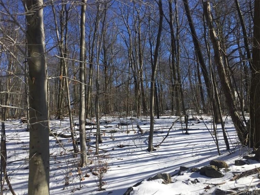 502 Barrett Hill Rd, Mahopac, NY 10541 - photo 1