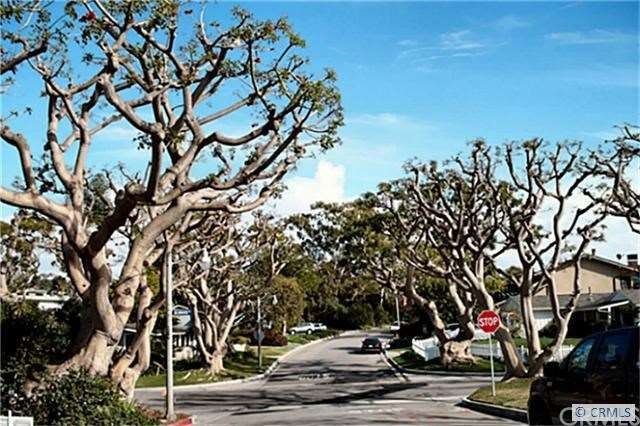 Established neighborhood and avenues lined with Ma