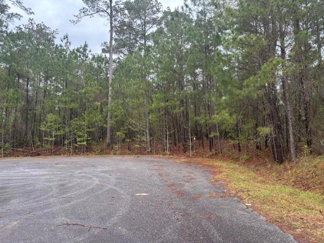 Lot 2 Jacquelyn Ct, Bainbridge, GA 39819 - photo 1