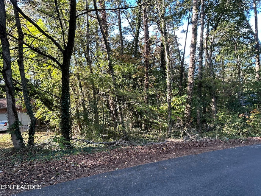 218 Oostanali Way, Loudon, TN 37774 - photo 1