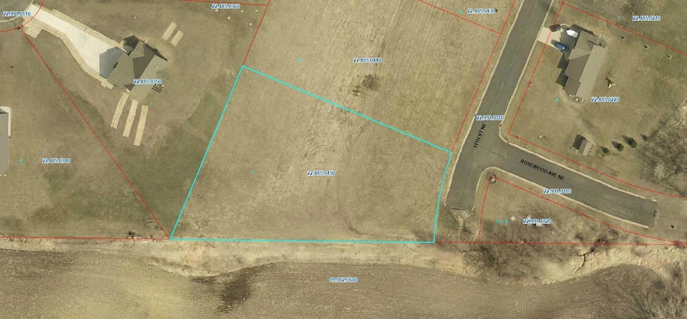 901 14th St NE, Montgomery, MN 56069 - photo 1