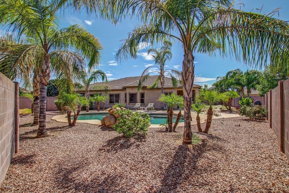 GREAT BACK YARD
