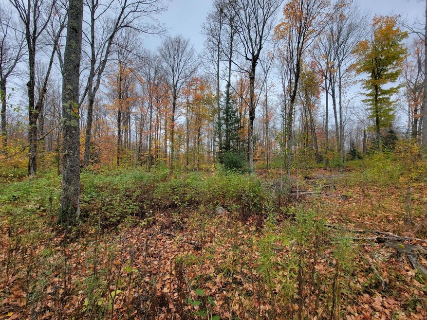 ON Cth A unit Lot 1, Deerbrook, WI 54424 - photo 1