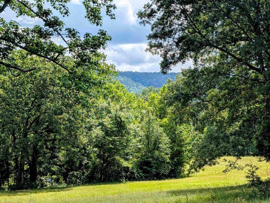 Unk Oklahoma 144, Octavia, OK 74957 - photo 1