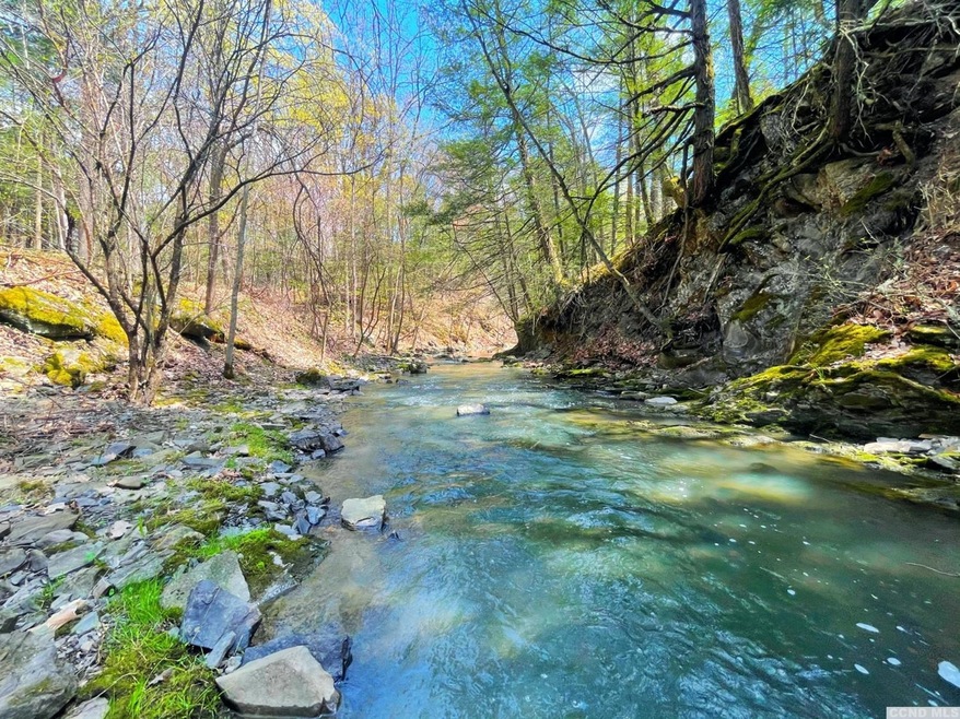 1837 Sleepy Hollow Rd, Athens, NY 12015 - photo 1