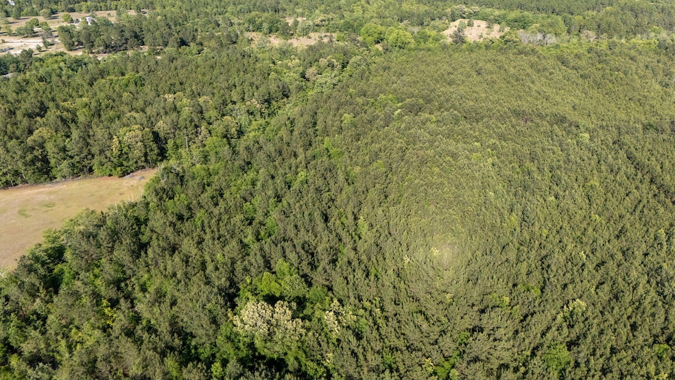 9-web-or-mls-DJI_20250505172731_0195_D