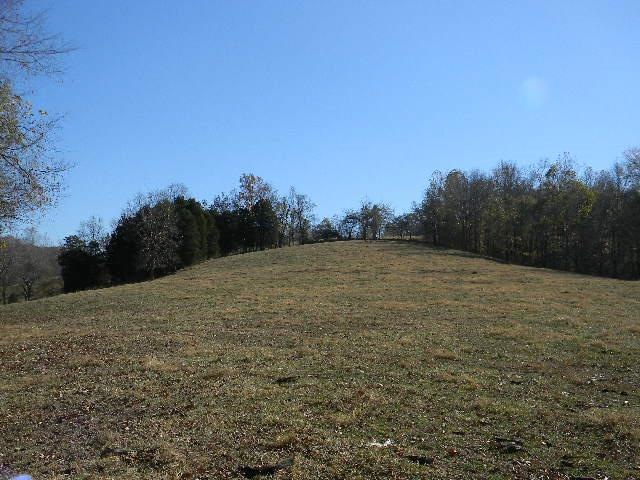 330 Cliff Ln, Tennessee Ridge, TN 37178 - photo 1