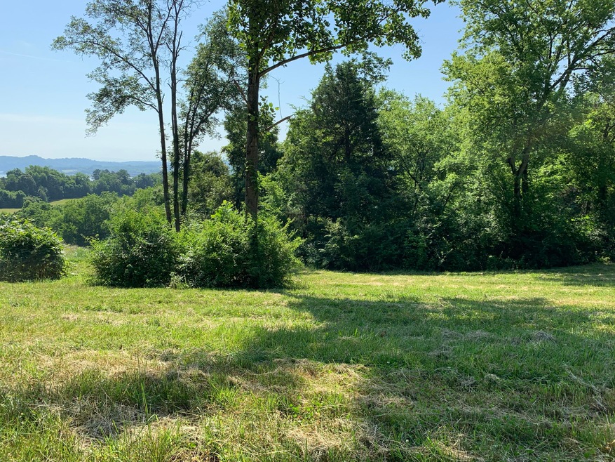 Water and mountain views