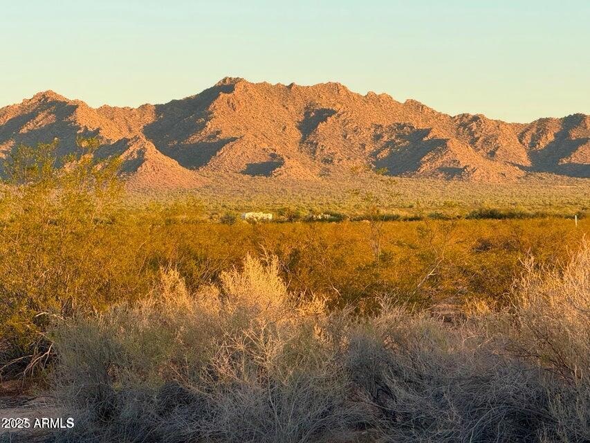 20251002062435859005000000-o (1)