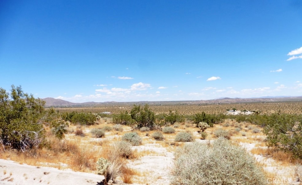 0 Cottonwood Rd unit JT19121135, Joshua Tree, CA 92252 - photo 1