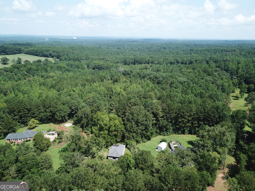 460 Welcome To Arnco Rd, Newnan, GA 30263 - photo 1