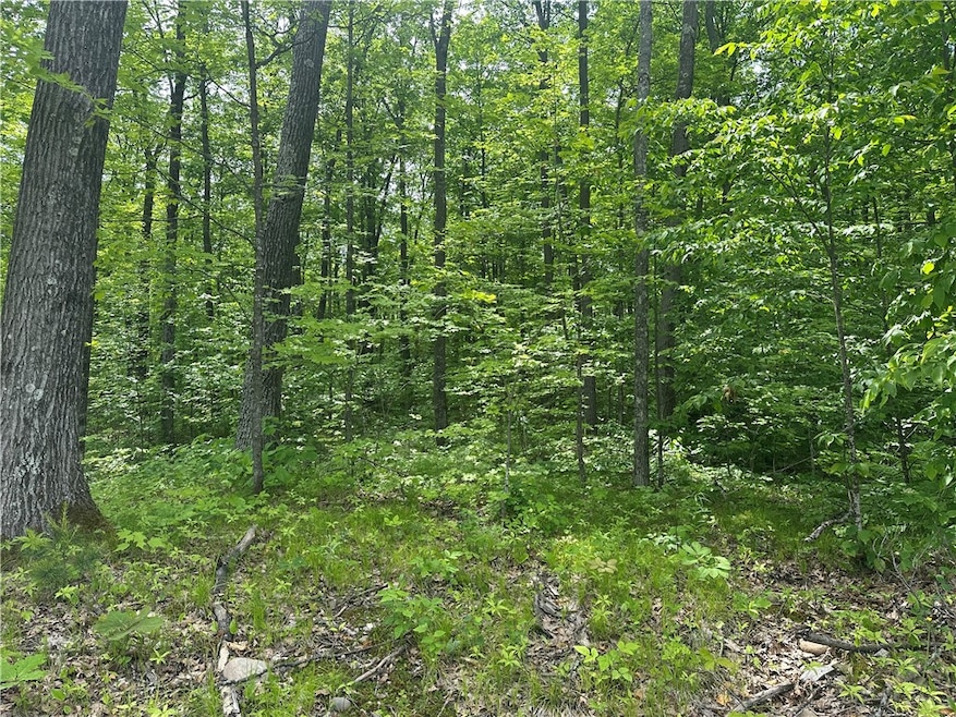 For Sale $59,900 • Co-Listing Agent