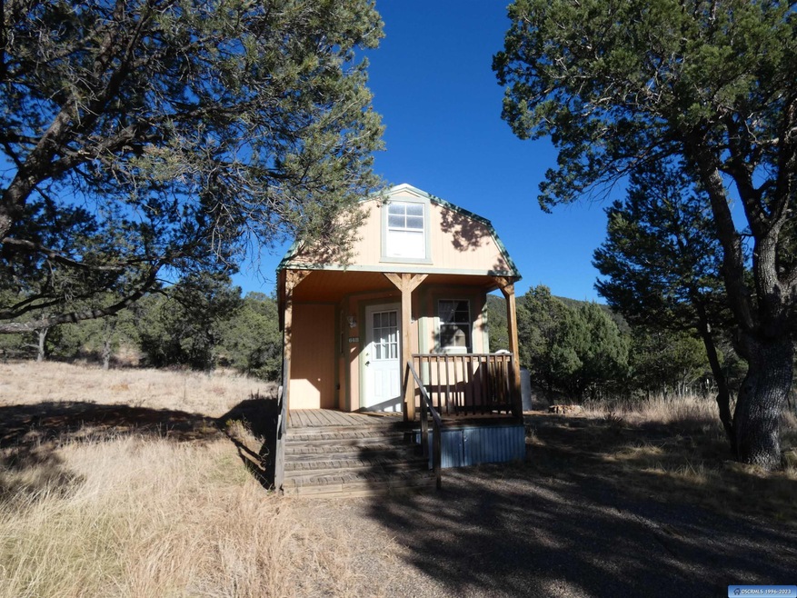 64 Cleveland Mine Rd, Silver City, NM 88061 - photo 1