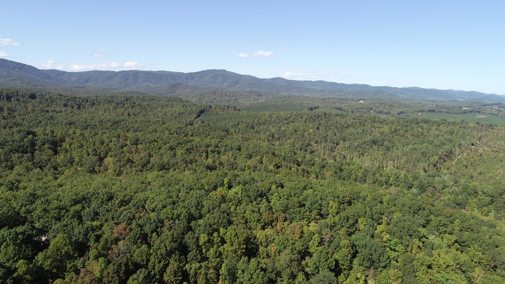Arial View
