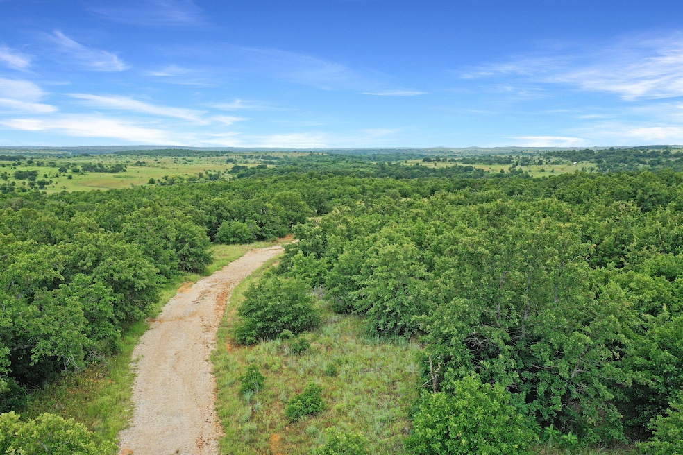 215 Acres unit East Truce Road, Bowie, TX 76230 - photo 1