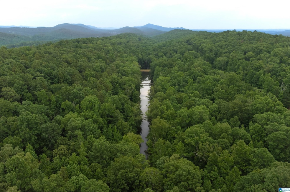 3080 Oakridge Way unit 57, Chelsea, AL 35043 - photo 1