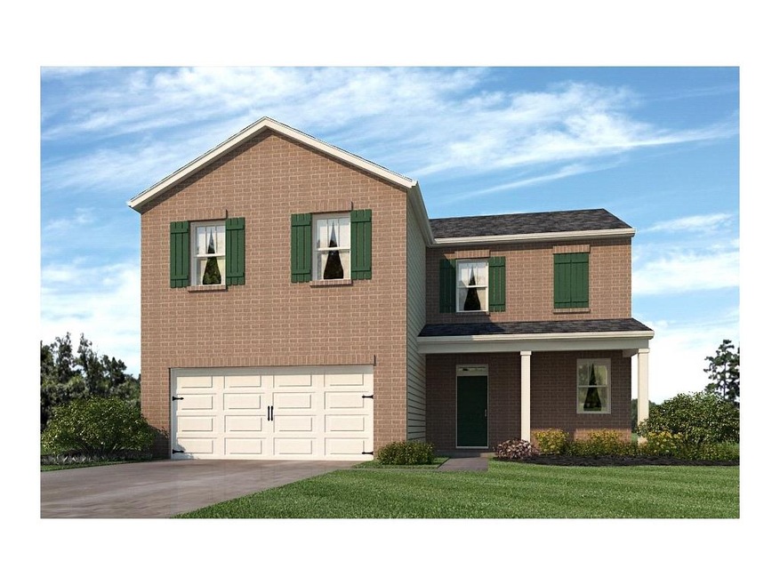 Color Rendering for Plan & Elevation