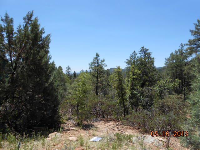 102 Sundown Ln, Pine, AZ 85544 - photo 1