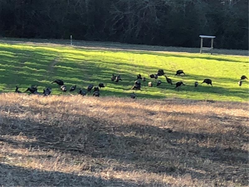 28301 New Hope Church Rd unit A, Robertsdale, AL 36567 - photo 1