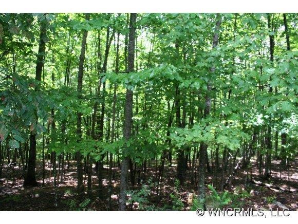 Huge .7 Homesite