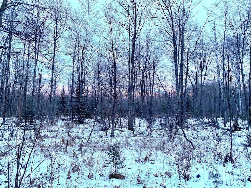 LT0 Willow Height Ln, Porterfield, WI 54159 - photo 1