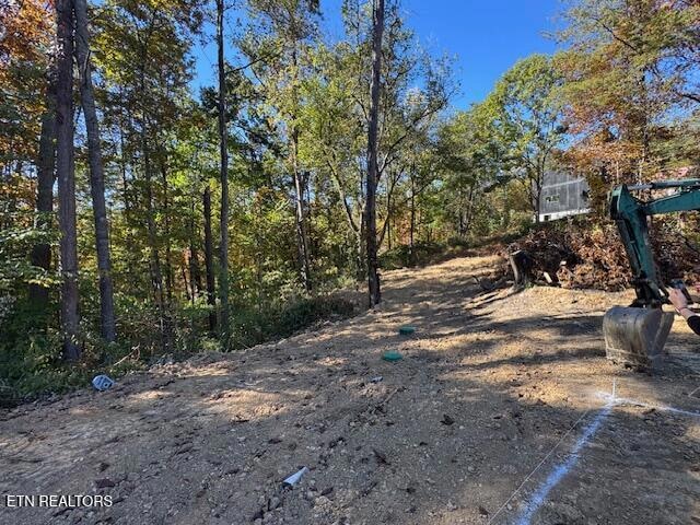 2779 Easy St, Sevierville, TN 37862 - photo 1