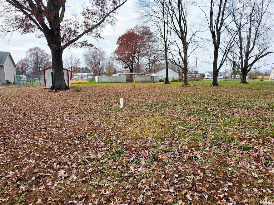 101 S Watkins St, Cisne, IL 62823 - photo 1