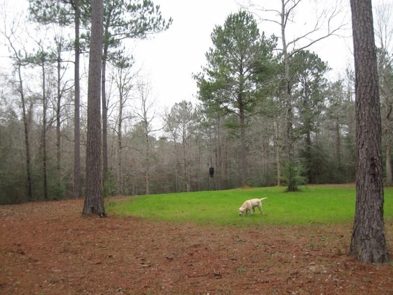 1160 Conerly Dr, McComb, MS 39648 - photo 1