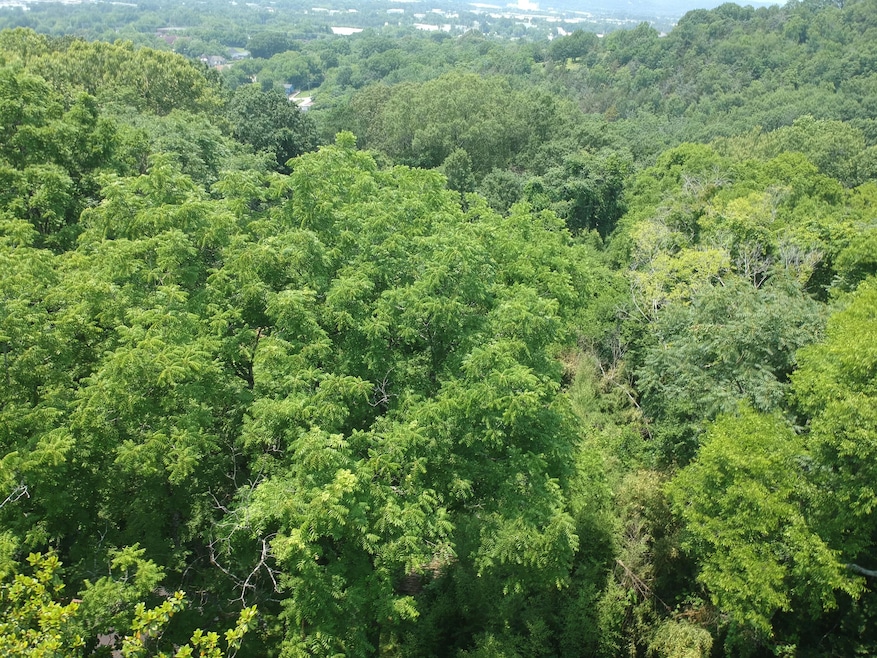 DJI_0228