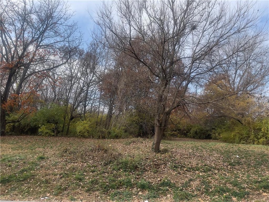 8136 Flora Ave, Kansas City, MO 64131 - photo 1