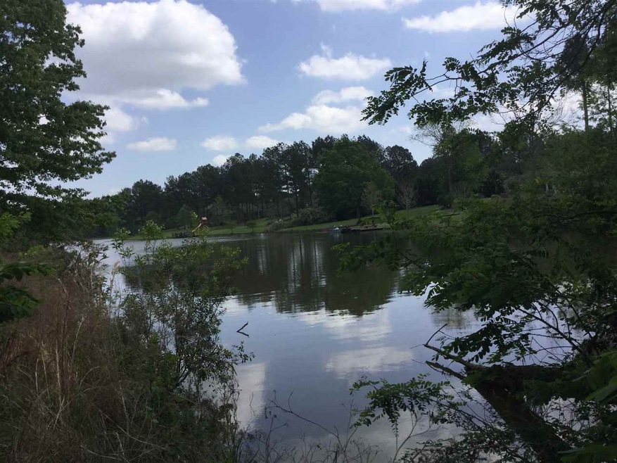 0 Bidon Place unit 33 1295805, Madison, MS 39110 - photo 1