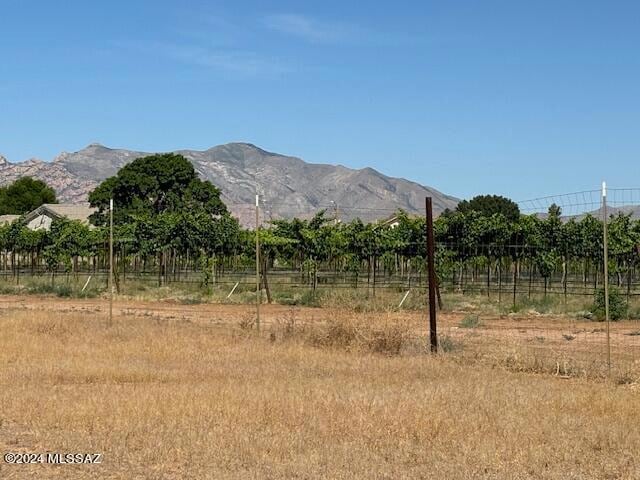 Views from the lot/at the lot