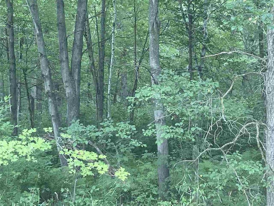 60 Acres 22nd St, Cutler, WI 54618 - photo 1