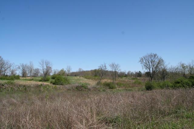 0 Shelbyville Mills Rd unit RTC1263424, Shelbyville, TN 37160 - photo 1