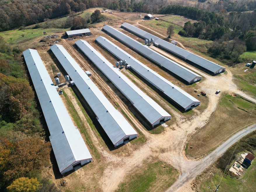 0 Cowbranch Rd, Hackleburg, AL 35564 - photo 1