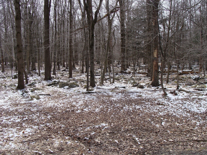 0 Valley Rd unit PWBPW253773, Newfoundland, PA - photo 1