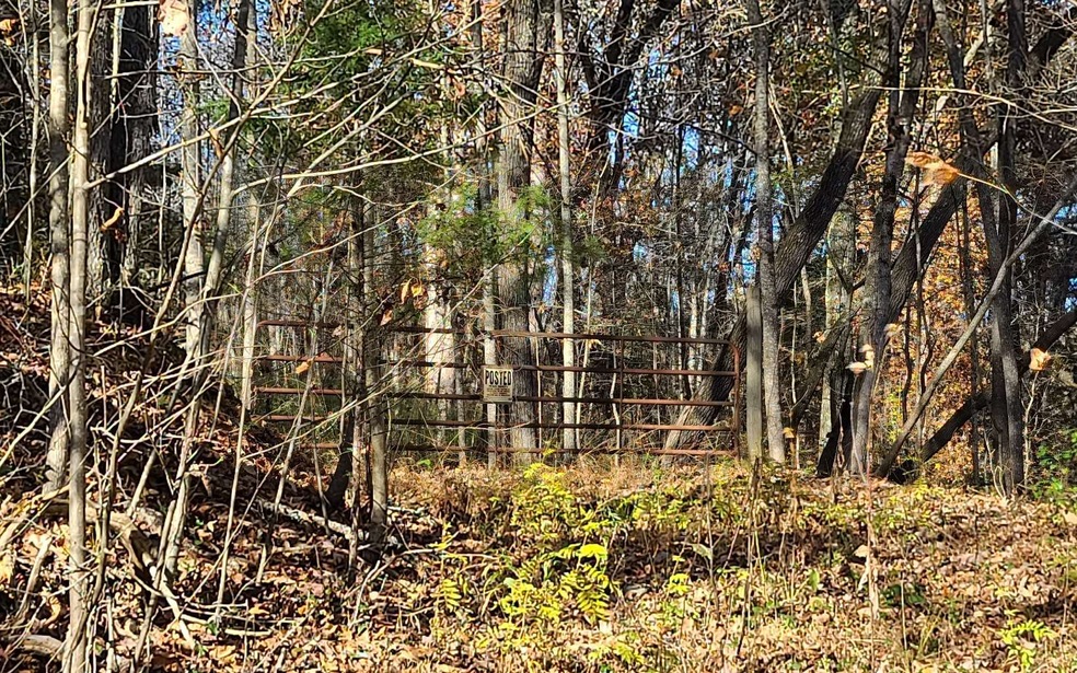 38ACS Wolf Creek Rd, Murphy, NC 28906 - photo 1