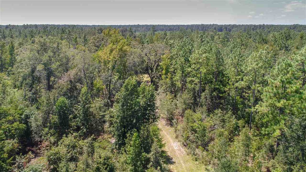 0 Wakulla Springs Hwy, Crawfordville, FL 32327 - photo 1